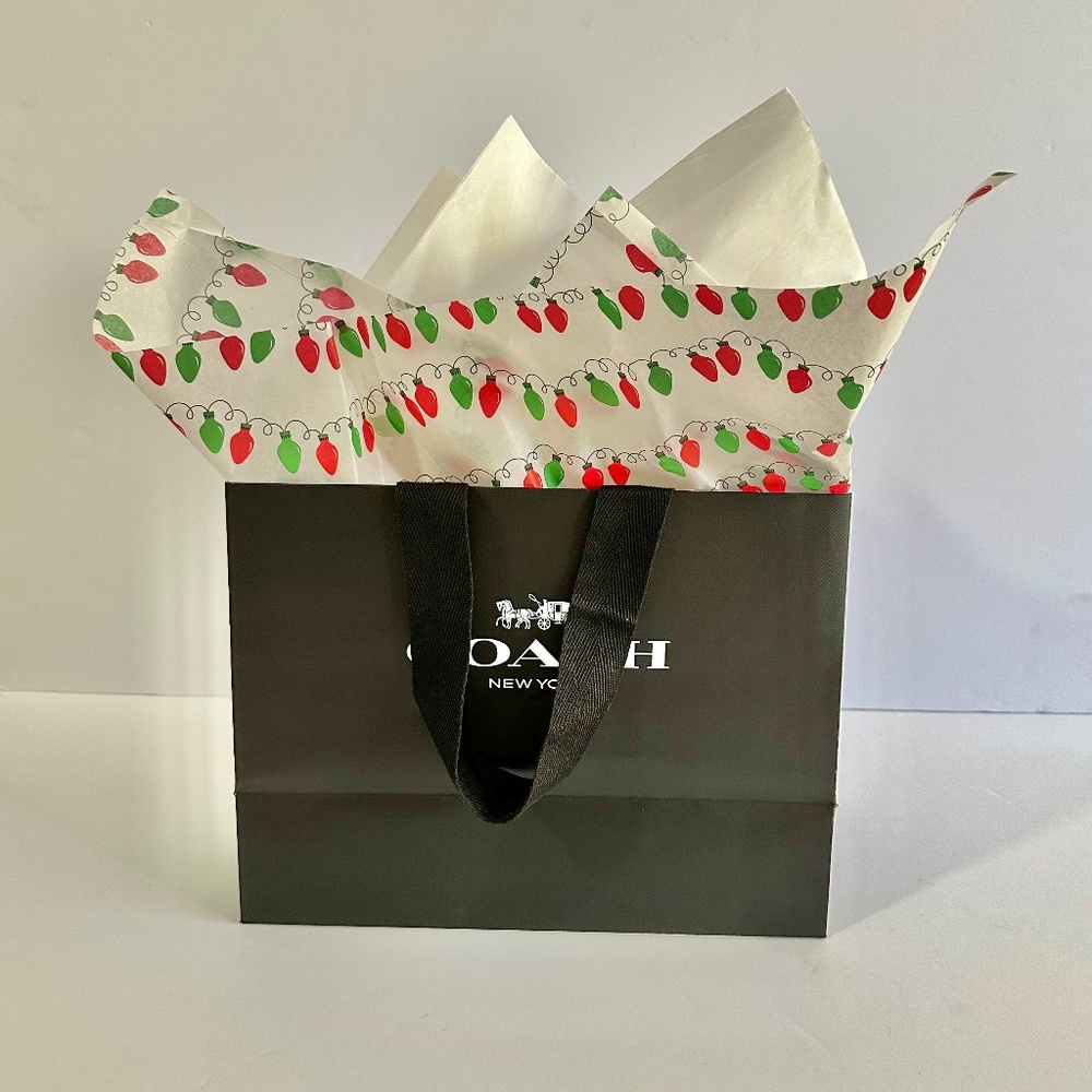 Coach small gift bag with tissue paper